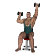 Shoulder Press - Seated Dumbbell Single